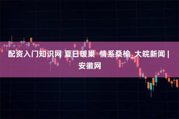 配资入门知识网 夏日暖巢  情系桑榆_大皖新闻 | 安徽网