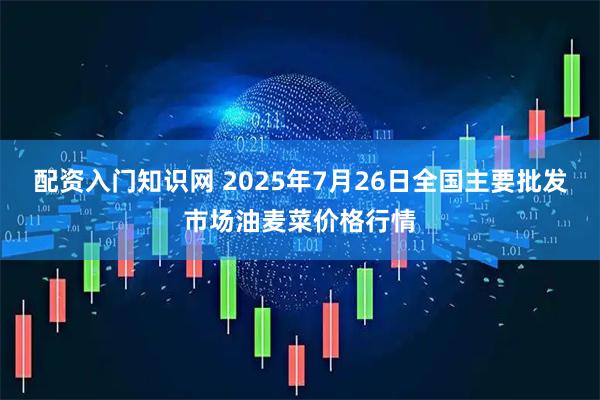 配资入门知识网 2025年7月26日全国主要批发市场油麦菜价格行情