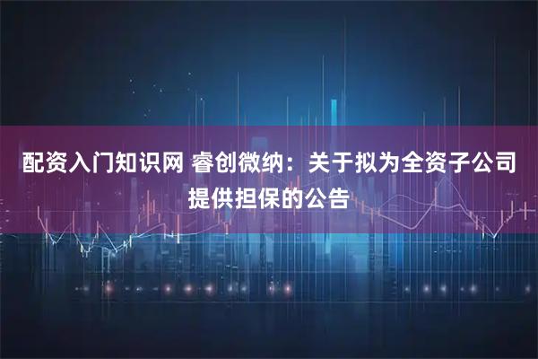 配资入门知识网 睿创微纳：关于拟为全资子公司提供担保的公告