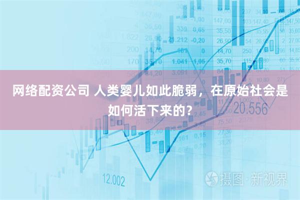 网络配资公司 人类婴儿如此脆弱，在原始社会是如何活下来的？