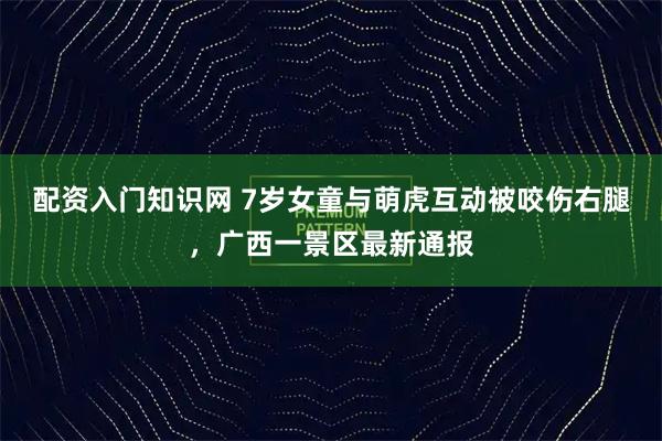 配资入门知识网 7岁女童与萌虎互动被咬伤右腿，广西一景区最新通报